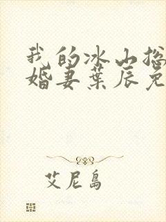 我的冰山总裁未婚妻叶辰免费阅读