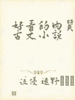 好看的肉质高的古文小说