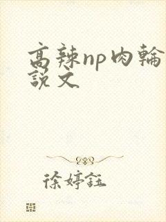 高辣np肉轮小说文