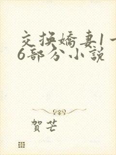交换娇妻1一36部分小说封面