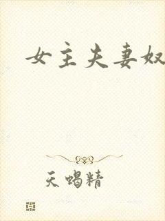 女主夫妻奴小说