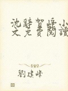 沈辞贺峥小说全文免费阅读