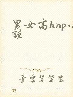 男女高hnp小说