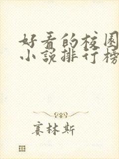 好看的校园言情小说排行榜前十名封面