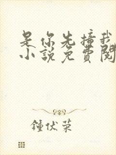 是你先撞我心上小说免费阅读