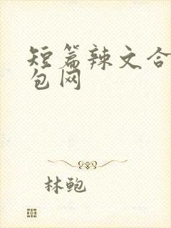 短篇辣文合集书包网封面