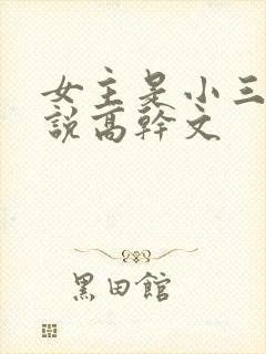 女主是小三的小说高干文封面