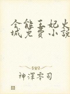 全能王妃火爆京城免费小说