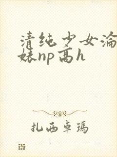 清纯少女沦为贱婊np高h