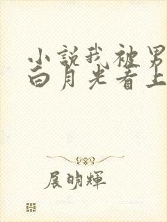 小说我被男主的白月光看上了