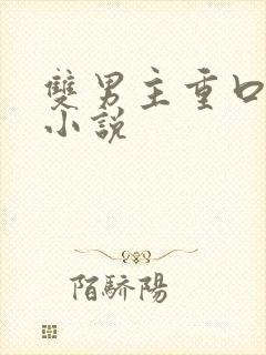 双男主重口调教小说封面