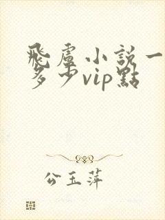 飞卢小说一章要多少vip点封面