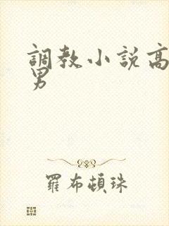 调教小说高h男男