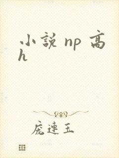 小说 np 高h