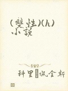 (双性)(h)小说
