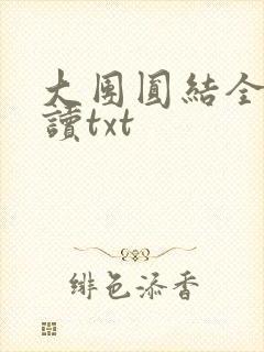 大团圆结全文阅读txt