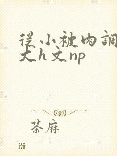 从小被肉调教到大h文np