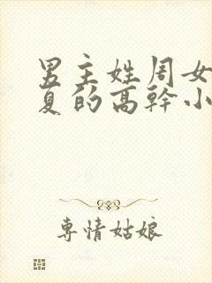 男主姓周女主姓夏的高干小说