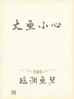 大鱼小心