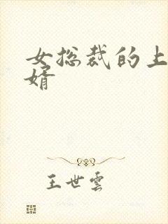 女总裁的上门女婿