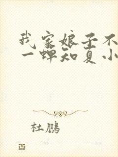 我家娘子不对劲一蝉知夏小说无弹窗