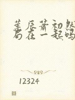 叶辰萧初然大结局在一起吗封面