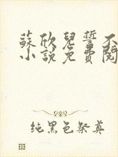 苏欣儿誓不为妾小说免费阅读封面