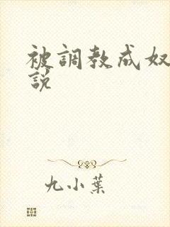 被调教成奴隶小说