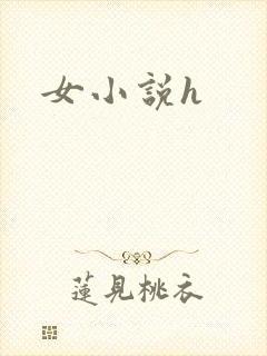 女小说h