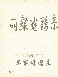 一部小说主人公叫陈楚的小说