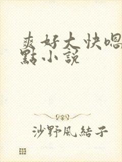 爽好大快嗯～轻点小说