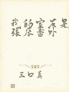 我的室友是直男张辰番外