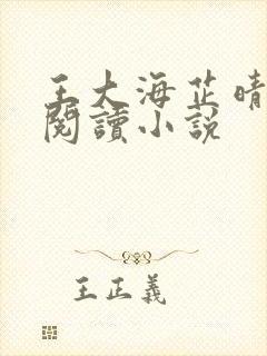 王大海芷晴免费阅读小说