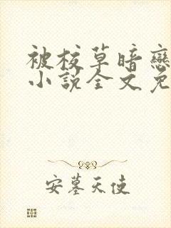 被校草暗恋之后小说全文免费阅读封面