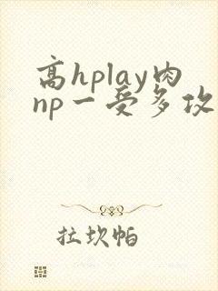 高hplay肉np一受多攻