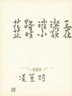 花路璀璨王大海芷晴小说在线阅读