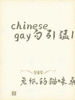 chinese gay勾引猛1videos