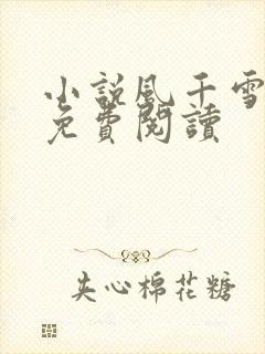 小说风千雪全文免费阅读封面