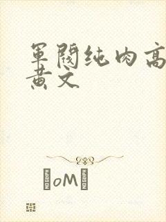 军阀纯肉高h污黄文封面