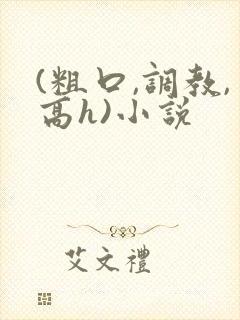 (粗口,调教,高h)小说