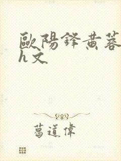 欧阳锋黄蓉高肉h文