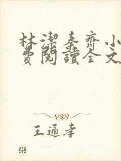 林洁秦齐小说免费阅读全文最新章节封面