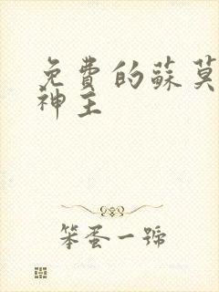 免费的苏莫绝代神主