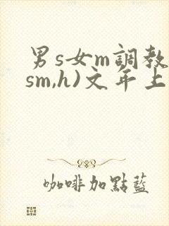 男s女m调教(sm,h)文年上