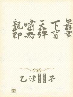 龙啸天下最新章节无弹窗笔趣阁