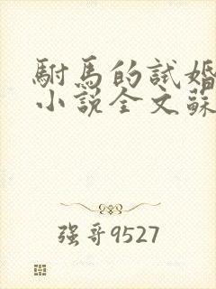 驸马的试婚丫鬟小说全文苏小小