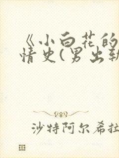 《小白花的淫欲情史(男出轨 高h)》