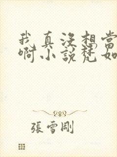 我真没想当皇帝啊小说梵如风