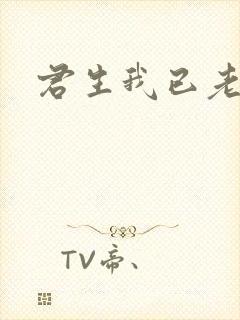 君生我已老小说