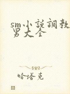 sm小说调教男男大全
